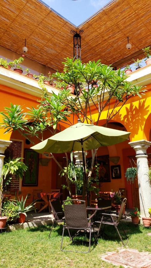Los Arrayanes Oaxaca Exterior photo